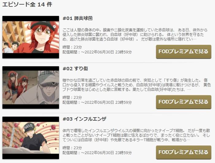 はたらく細胞1 FOD