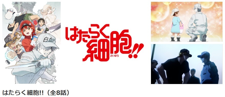 はたらく細胞3 dアニメ