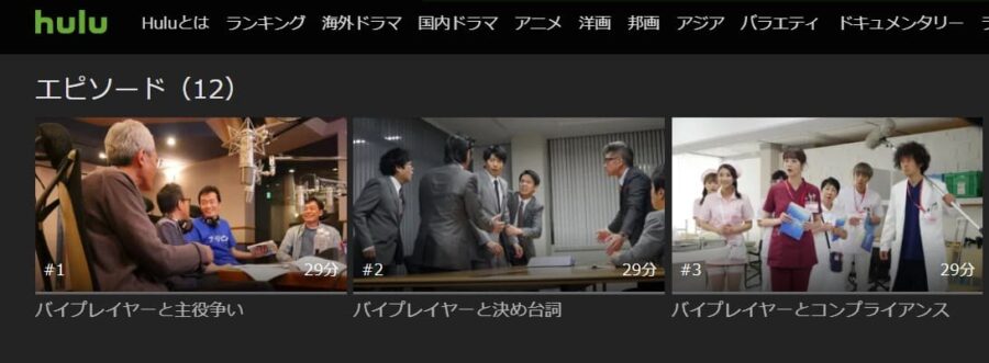 バイプレイヤーズ〜名脇役の森の100日間〜Hulu
