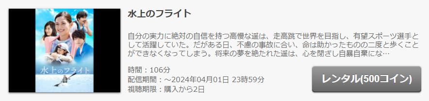 水上のフライトFOD