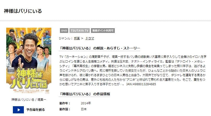 神様はバリにいる