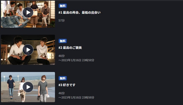 ドラマ 好きな人がいることの動画を無料で全話視聴できる配信サイトまとめ