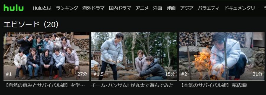 ハンサムゼミHulu