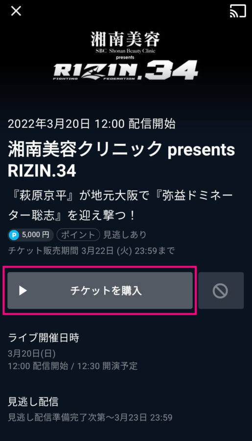 RIZIN 視聴方法