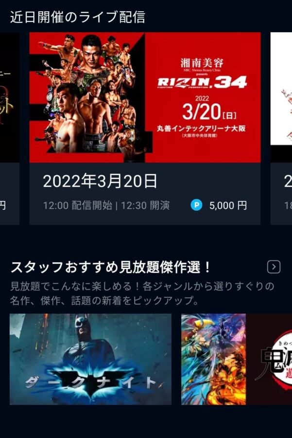 RIZIN 視聴方法