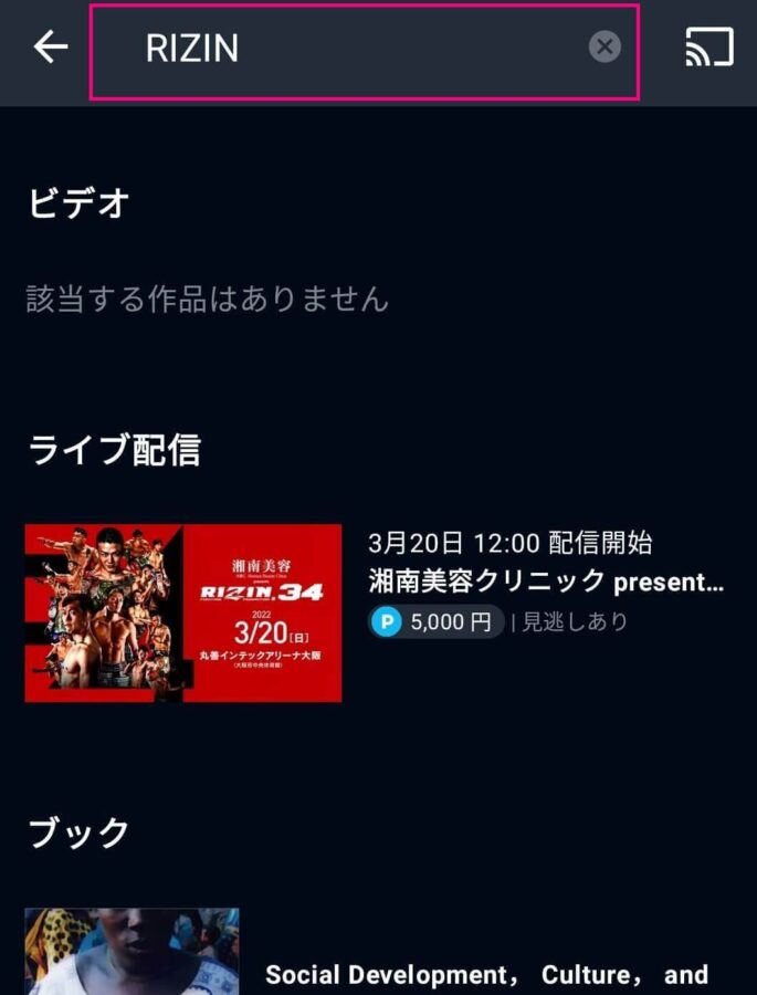 RIZIN 視聴方法