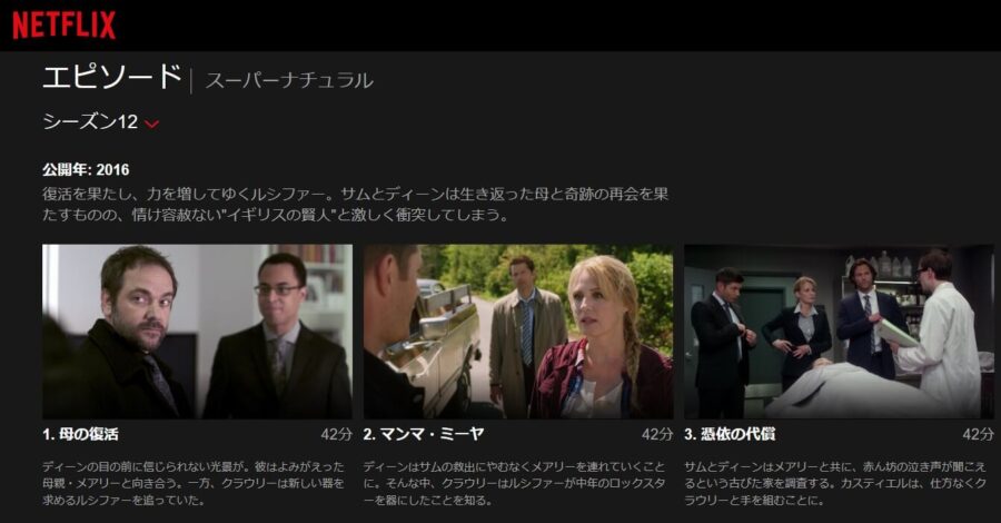 スパナチュ12Netflix