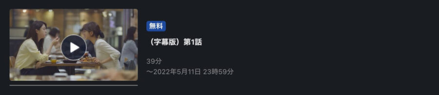 韓国ドラマ ファイティン ガール Miss Leeの動画を日本語字幕や吹替で無料で見れる配信サイトまとめ