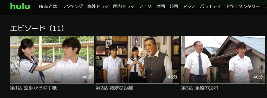 世界の中心で、愛をさけぶ Hulu