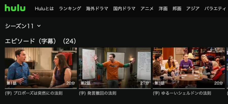 海外ドラマ ビッグバン セオリー シーズン11の動画を日本語字幕や吹替で無料で見れる配信サイトまとめ