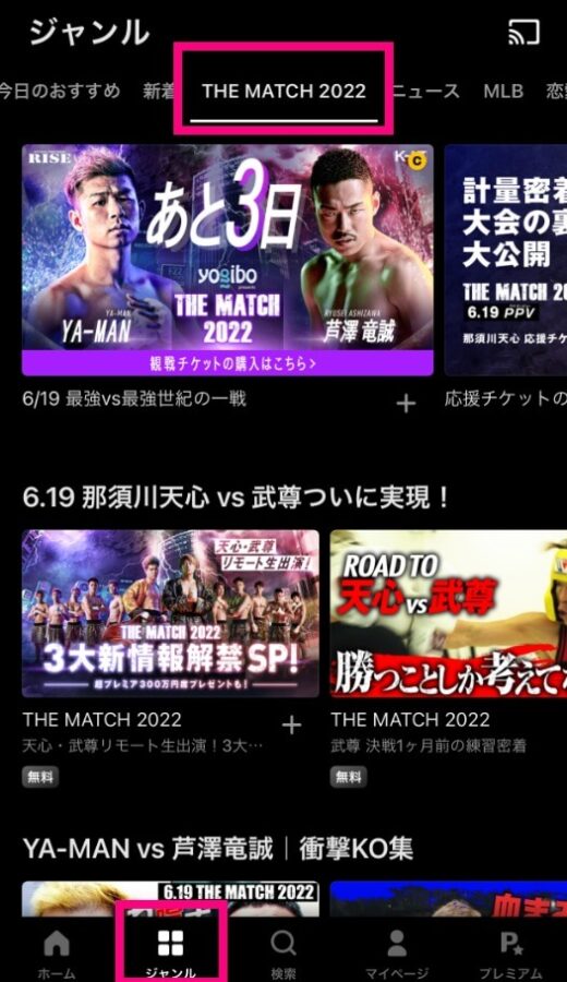THE MATCH2022 視聴方法