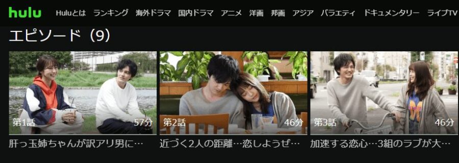 姉ちゃんの恋人ドラマ 無料
