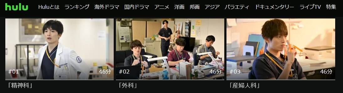 祈りのカルテ ドラマ 無料Hulu