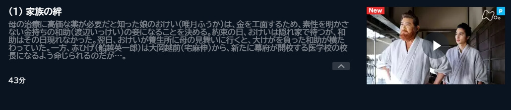 赤ひげ4(船越英一郎主演) ドラマ 無料U-NEXT