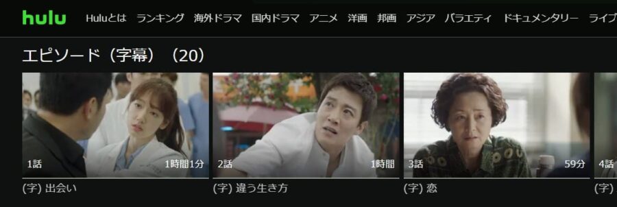 韓国ドラマ ドクターズ 恋する気持ちの動画を日本語字幕や吹替で無料で見れる配信サイトまとめ