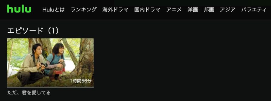 ただ、君を愛してる Huluフル無料